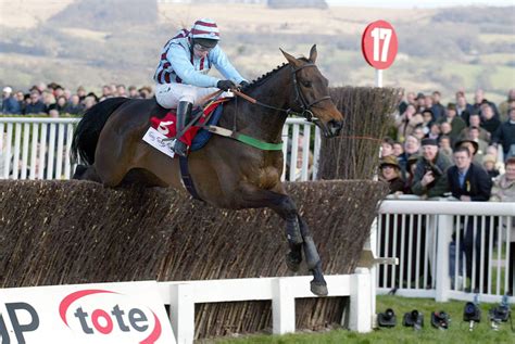 gg cheltenham tips|Cheltenham Gold Cup Tips, Expert Predictions 2024 .